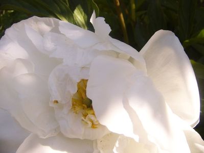 P1370109