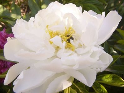P1370110