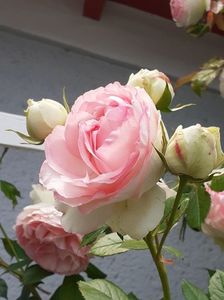 20200525_125845(0)