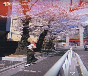 ▌　♥· în rucsac, ies din cameră și cu pași puțin leneși mă dirijez către bucătărie. După ce -; scot o sticlă de vin roșu, desfac dopul cu ajutorul tirbușonului și-mi vărs jumătate de cupă, după care umblu prin frigider a doua oară, de data asta după mâncare.
