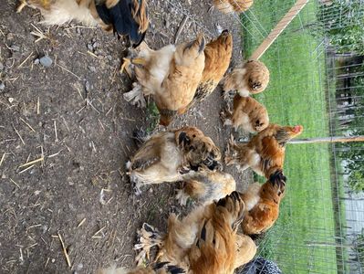 4A7CE0AD-D6D2-4998-A0EA-B21AF66377FC