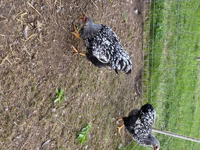 33CB8AB0-E26E-4CA0-9EB6-8E3E2F5BEC54