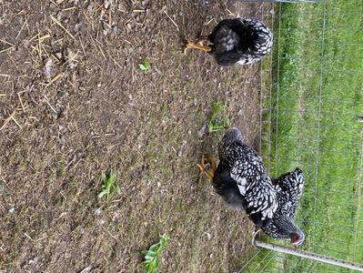 8963F778-C607-477B-A376-90C1055831C4