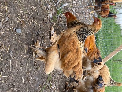 FB0B00AA-91D5-4843-9967-3ABC3DD72927