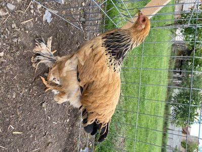 96670A08-F0DC-42C1-873D-6DE79DAC922B