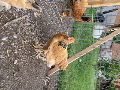 9054C359-27F2-4708-85DB-CC23DBC7CC88