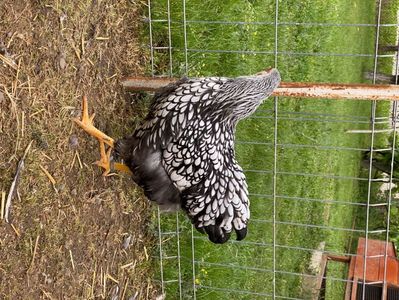 5BA07DD7-9D72-4104-A4F9-3AA94AB78E72