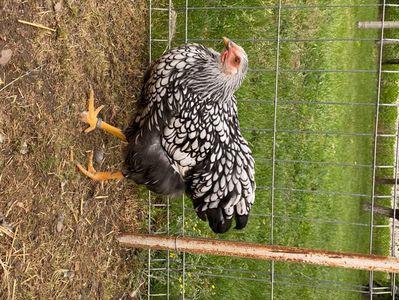 7AAD022F-6CEE-4EF2-97B4-AD748707C228