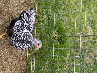 2964F53A-DF1F-44C2-980F-95CD025CB3C0