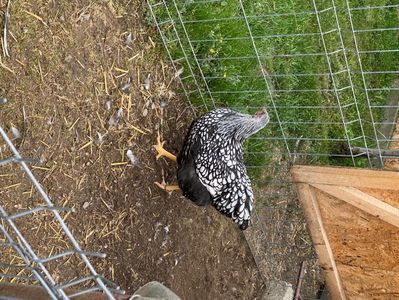 88DFEE03-1FF7-40D7-8CDD-5CD9883B685D