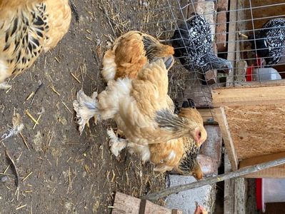 5C6F5BC0-1704-4E8B-ACEA-8A57C0203079