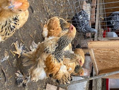 2F974AF7-DF3C-4DD9-ADD3-EB88020F41CF