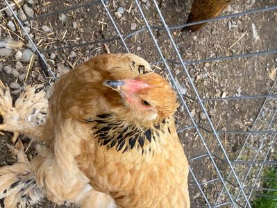 641FE1B9-C9D7-4CF9-A1A6-F98465BBFC20