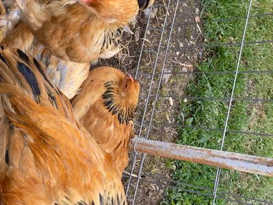 0301C8E9-4B51-4F3C-81B6-6A3363601A89