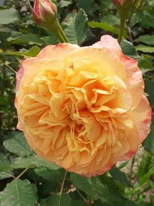 20200604_124122(0)