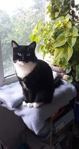 received_190088162275028