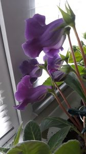 IMG-20200609-WA0000