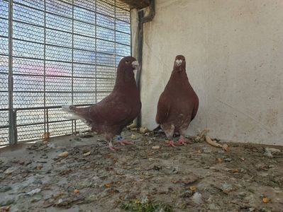 received_203214741017037