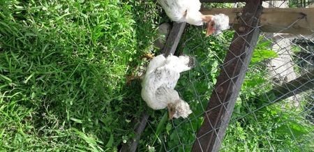 20200613_154106(0)