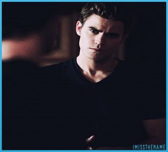 【 xTheOriginalsTO 】► ᴘᴀᴜʟ ᴡᴇꜱʟᴇʏ