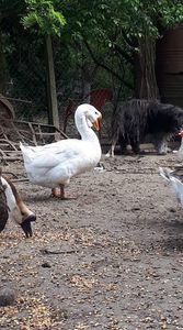 received_980160612403197