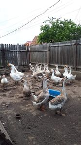 received_1366991630156790