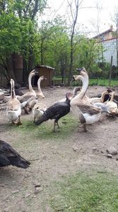 received_2566036477002036