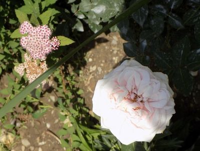 IMG-20200608-WA0076