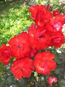 20200626_135808(0)