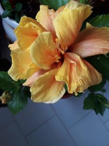 received_1166793983686647