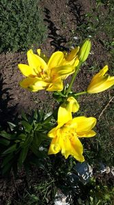 received_696041667919068