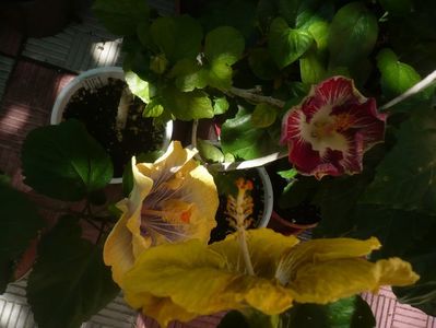 P1440858