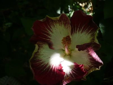 P1440867