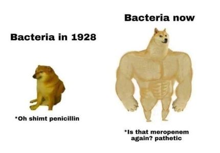 739EAE3A-E7E5-4DB3-AA48-1AC2B490787B