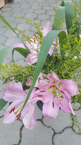 lilium orientale "Josephine"-solidago canadensis