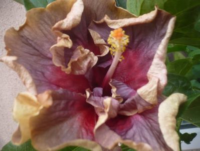 P1450156