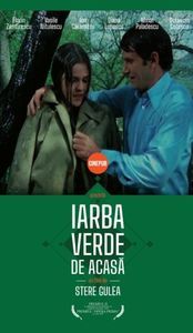 Iarba Verde De Acasa