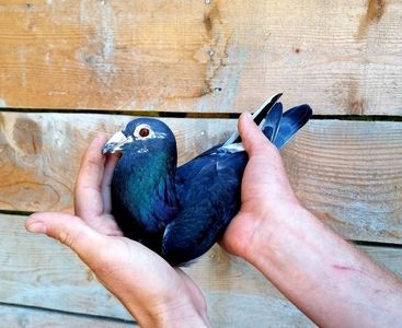 763