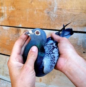 789