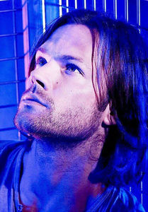 jared (4)