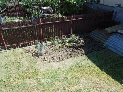 IMG (474)