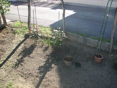 IMG (506)