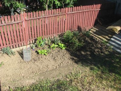 IMG (509)