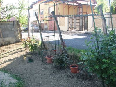 IMG (514)