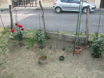 IMG (524)