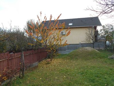 IMG (530)