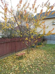 IMG (533)