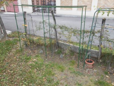 IMG (539)