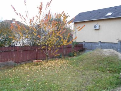IMG (543)