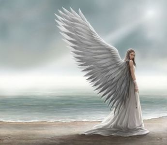 Angels - Îngerii ♥️♥️♥️♥️♥️♥️♥️♾